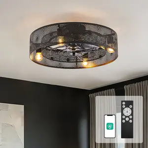 Orison 20 Inch Caged Ceiling Fan with Light, Farmhouse Ceiling Fan Lights with APP Remote,6 Speeds Wind, Timer, Reversible Motor,Industrial low profile Ceiling Fans for Living Room, Bedroom, Kitchen