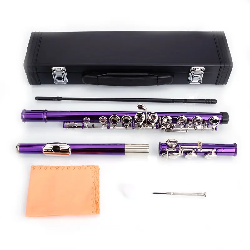 Cupronickel C Tone 16 Closed-Hole Concert Band Flute, Purple Wind Musical Instrument for Orchestra, Easy to Play Musical Hobbies