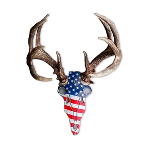 America Buck Antler Mount