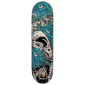 Birdhouse Skateboard Deck Tony Hawk Tillbrook 8.25" x 31.5"