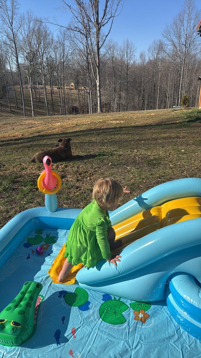 Item: Jungle Adventure