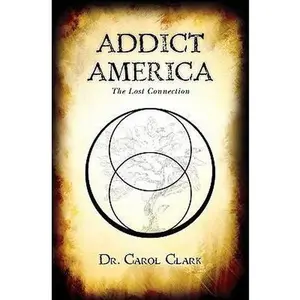 USED-Addict America: The Lost Connection by Clark, Carol (Paperback)