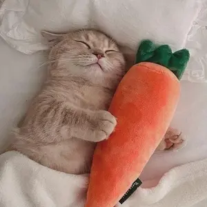 background preload poster image 