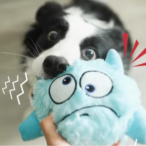 PetMuse