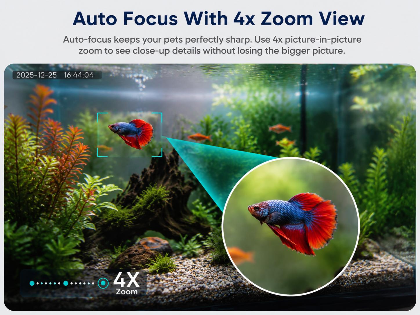 Wireless Window security Cameras for Home 4MP 2.5K, Indoor WiFi Cameras 2.4GHz/5GHz, Motion & Person Detection with Auto-Focus , Easy Installation, 24/7 Recording Works, Magnetic Install &Close-Focus Lens for Fish,Lizard, Hamster, Chameleon, Gecko, Snakes Wireless Window security Cameras for Home 4MP 2.5K, Indoor WiFi Cameras 2.4GHz/5GHz, Motion & Person Detection with Auto-Focus , Easy Installation, 24/7 Recording Works, Magnetic Install &Close-Focus Lens for Fish,Lizard, Hamster, Chameleon, Gecko, Snakes