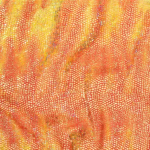 Stretch Polyester Spandex Fabric Disco Cobra | Spandex Palace