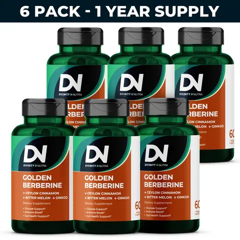 DN 6 Packs 4-in-1 Golden Berberine Supplement 1500mg, Glucose Support, with Ceylon Cinnamon Bitter Melon Ginkgo, Support Gut Health, Metabolism, Wellness, 60 Capsules, Divinity Nutra