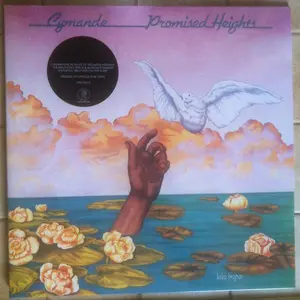 Cymande Promised Heights Reissue Sealed Vinyl LP Record - Original Art, Analog Warmth, Spiritual Funk Collectible, Sample Source