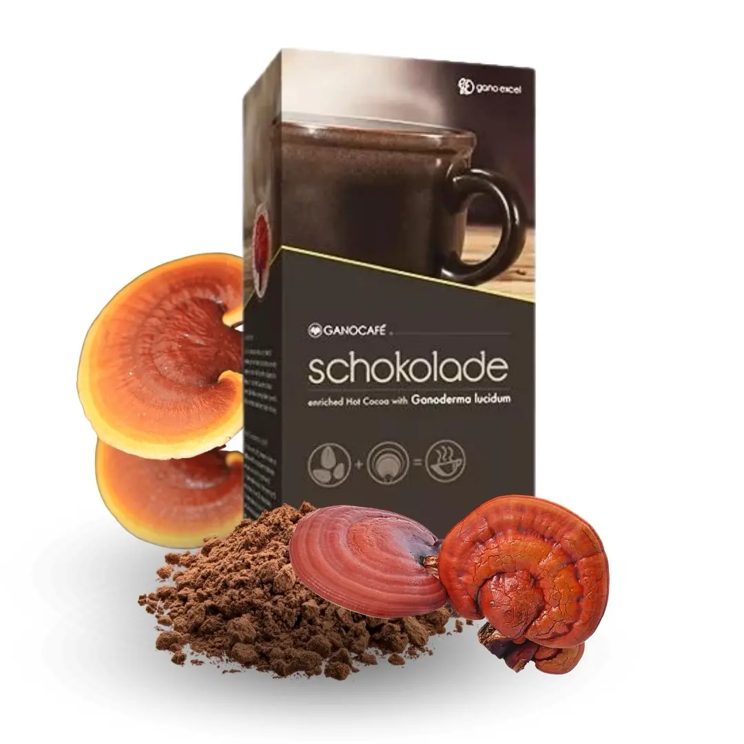 Mushroom hot cocoa - Perfect for a good night sleep - 200 nutrients - 150 antioxidants - With the only patented soluble extract of the six strongest strains of ganoderma lucidum