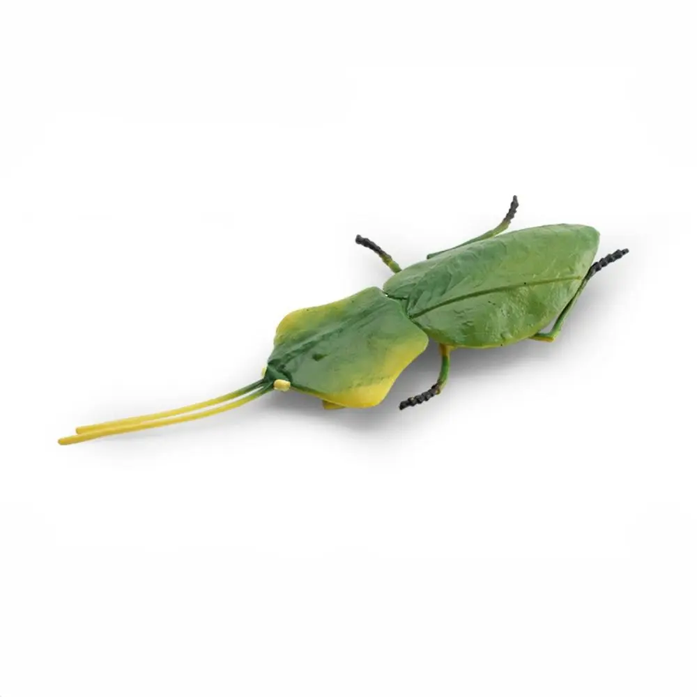 Leaf mantis
