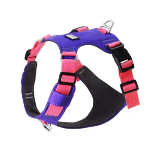 Waterproof Front Range Dog Harness, Soft Padded Design with Dual Leash Clips, Adjustable & Lightweight for Daily Use, Ideal for Training Walks