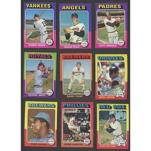 1975 Topps Vintage Baseball Mystery Slab ⚾ 1 Random Card Encapsulated | From Complete 660 Card Set Chase