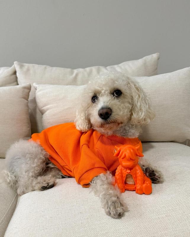 Yak Puff and Play Dog Toy Interactive Enrichment Treat Dispensing Dog Toy