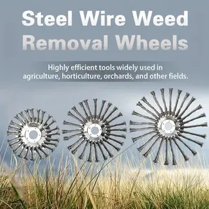 Weed Cutting Wheel Set, 6/8/10 Inch Steel Wire Brush Heads, Universal Trimmer Accessories Kit, Garden, Horticulture & Road Maintenance Tools