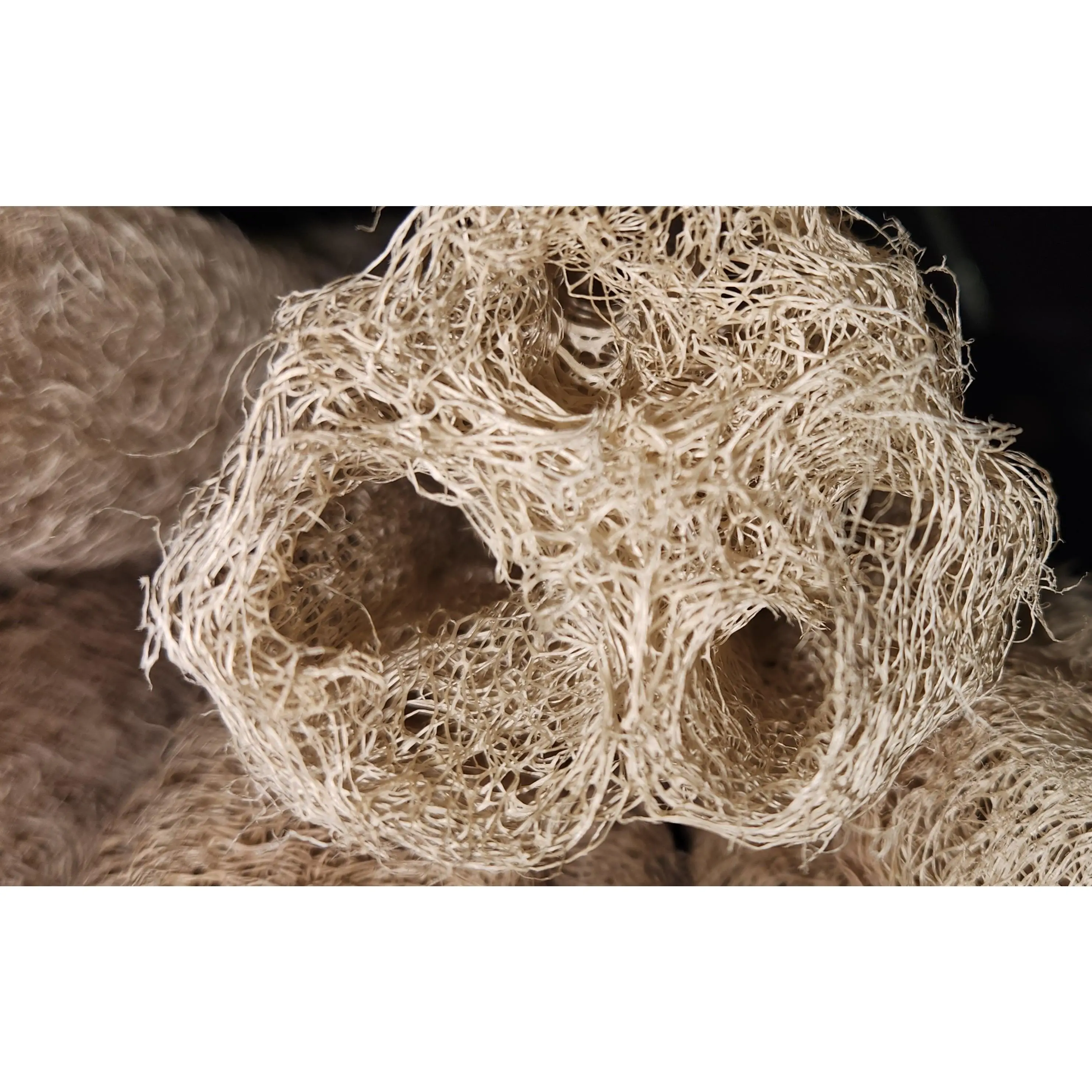 🌿 Natural Homegrown Loofah Sponge