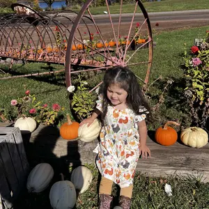 Toddler Baby Girl Summer Dress Chicken Print  Ruffle Sleeve A-line Dress Farm Animal Outfit