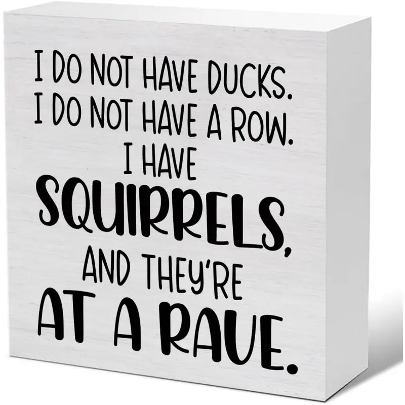 Funny Office Decor, Country Sarcastic Gifts for Men Women, I Do Not Have Ducks Quote Wooden Sign, Decorative Plaque, Desk Wall Sign, Decor Signs, Office, Home Decorations, Room Decor Rectangle Design 5 X 5 Inches