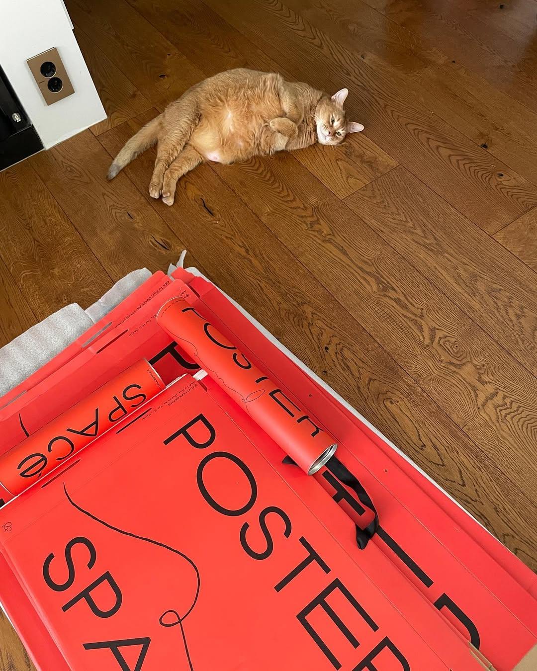 Megan Fox Y2K Poster, 2000s Glossy Magazine Print, Y2K Celebrity Wall Art