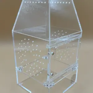 “Spood Manor” 4x4x8” Jumping Spider Enclosure Clear Acrylic Habitat for Pet Spiders