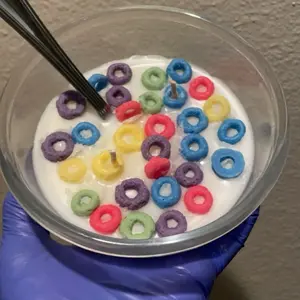 Fruit Loops Cereal Candle Fruit Loops Cereal Candle