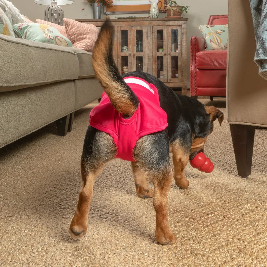 Dog Diapers (3-Pack) + Extendrs® Dog Diapers (3-Pack) + Extendrs®