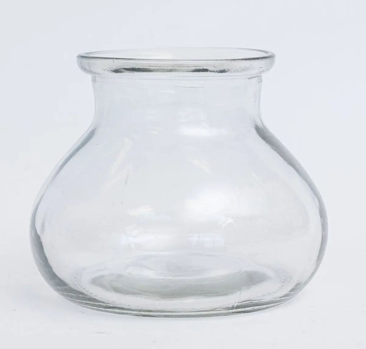 Rosie Posie Clear 1 Vase