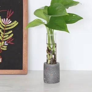 Terrazzo Propagation Stand - Charcoal