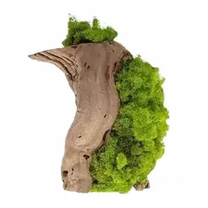 Kahee's Plants - Moss Green Plants made with Real High Quality Preserved Moss and Natural Wood Pot for Esthetic Home Decor