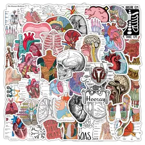 50 Medical Student Note Stickers, Ideal for Recording, Body Structure, Personality, Graffiti, Decorative Notes, Water Bottles, Diaries