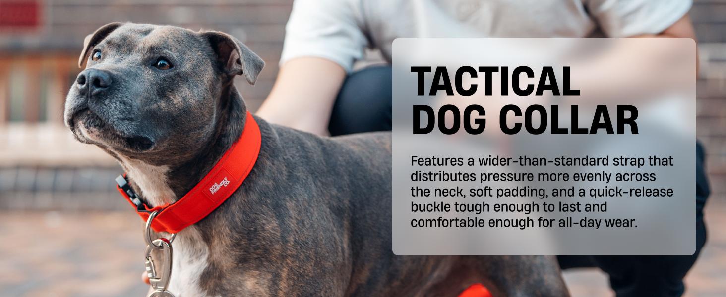 Tactical Dog Collar - Heavy-Duty Quick Release Buckle, Plain, Comfortable Wear, Custom-Printed, Reflective Night Visibility Design