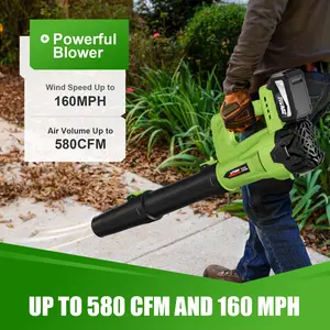 Leaf Blower 20V Cordless with 2 Batteries & Charger 2.0 Ah Lightweight Axial Electric Blowers for Lawn Care Patio Snow Dust Blowing Leaves Up to 580 CFM 160 MPH