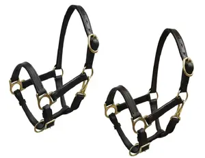 Weanling Horse Black or Dark Oil Leather Halter