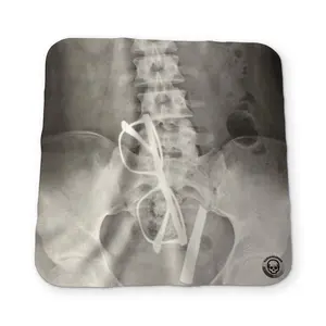 The Anatomy/Medical Bundle