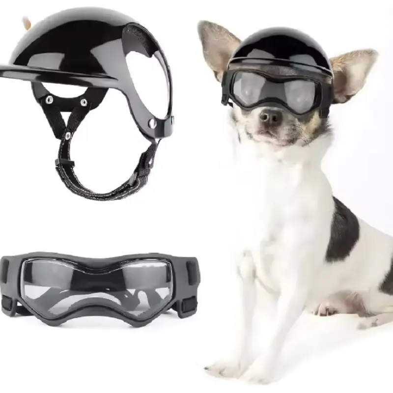 Dog Helmet and Dog Goggles