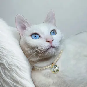 Korean Lightweight Luxury Necklace For Dogs and Cats - Dumpling Necklace - Pet Accessory