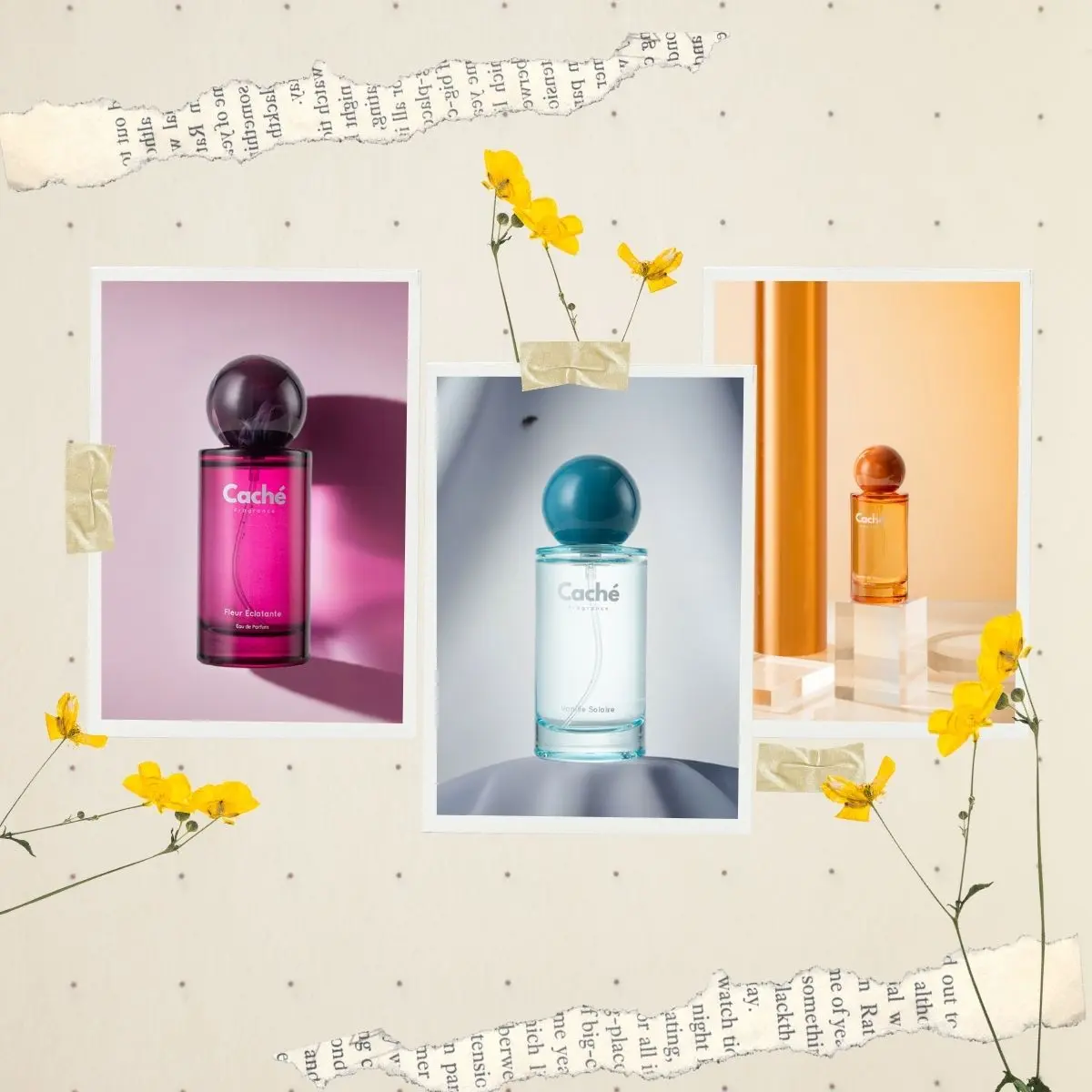 Caché Fragrance | Fleur Éclatante + Vanille Solaire + Jasmin de Minuit | Sugar Petals Trio | Eau De Parfum (3 x 1.7oz / 50ml)