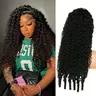 Bling Hair Burmese Curly Human Hair Wig, 180% Density 13x6 HD Lace Front Wig, Transparent Lace, Spiral End, Natural Black, Heat Resistant, for Black Women
