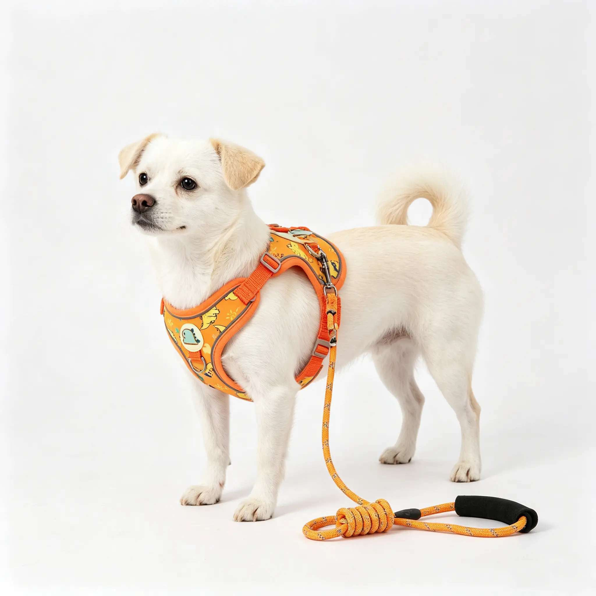 Dog Harness and Leash Set - Vest-Style Walking Lead for Small Puppies, Compatible with Teddy, Bichon, Pomeranian Breeds