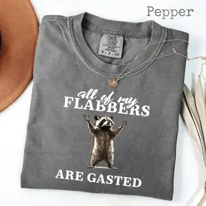Comfort Colors All of My Flabbers Are Gasted T-Shirt, Funny Raccoon Shirt, Raccoon Graphic Tee,Funny Raccoon Graphic Tee, Sarcastic Meme T-Shirt, Vintage Humor Gift, Funny Meme Shirt, Vintage Retro Cartoon
