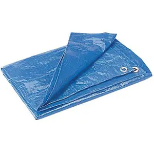 Poly Tarp 121006 20ft. x 30ft. Tarp - Blue