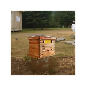 10-Frame Bee Hive Starter Kit For Beekeepers Dipped In 100% Beeswax Includes 1 Deep Box And 1 Medium Bee Box With Acrylic Window, Beehives Frames And Wax Foundations For Beginner Beekeepers