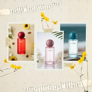 Caché Fragrance | Velours 540 + Ombre Élégant + Vanille Solaire | Ambered Sugar Woods | Eau De Parfum (3 x 1.7oz / 50ml)