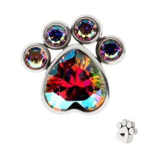 Paw Rainbow Aurora CZ Titanium Internally Threaded Top
