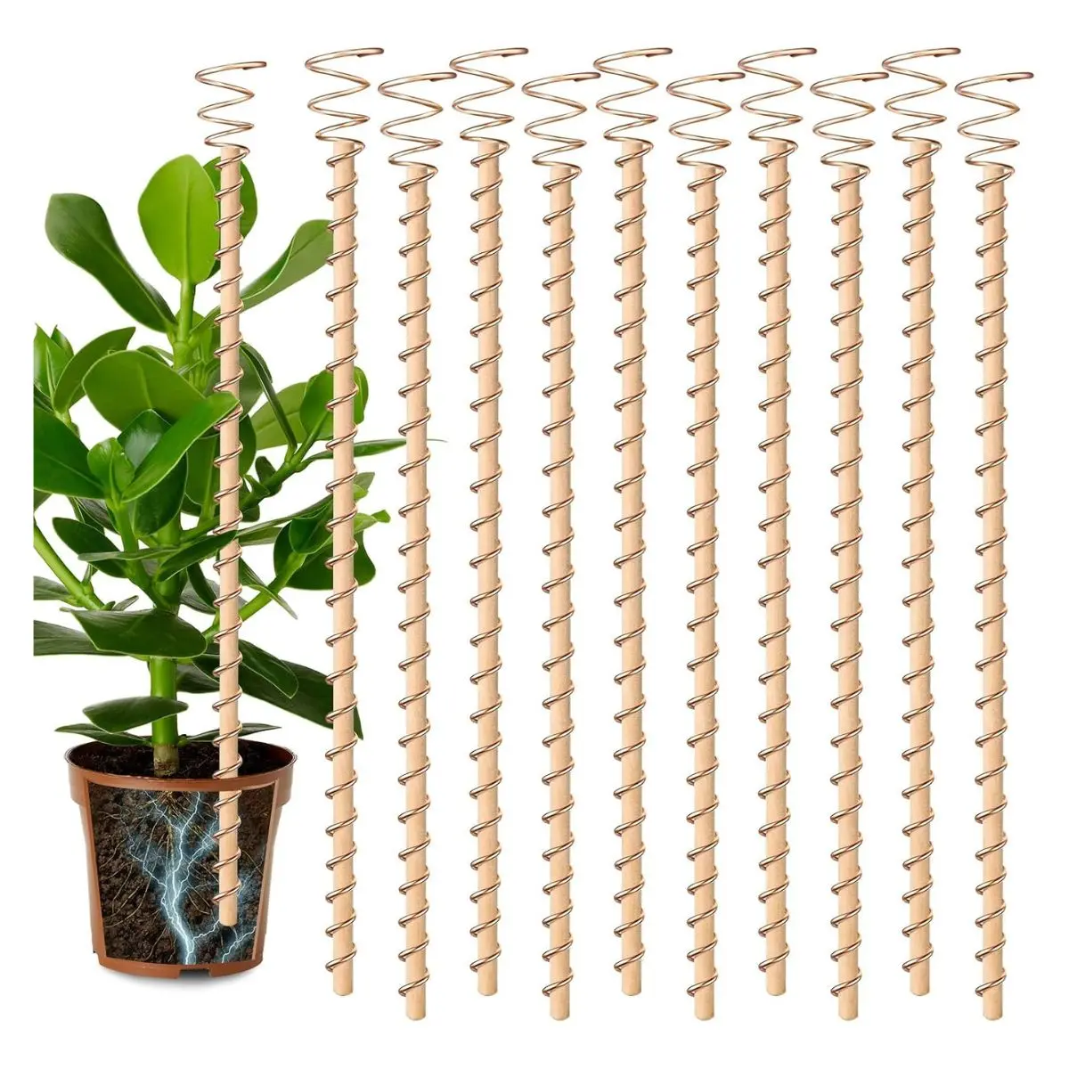 10PCS 17" Copper Electroculture Plant Stakes – Coil Wire Antennas & Tensor Rings for Gardens