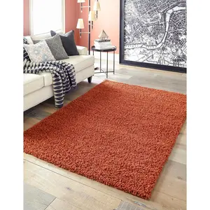 Rugs.com Solid Shag Rug