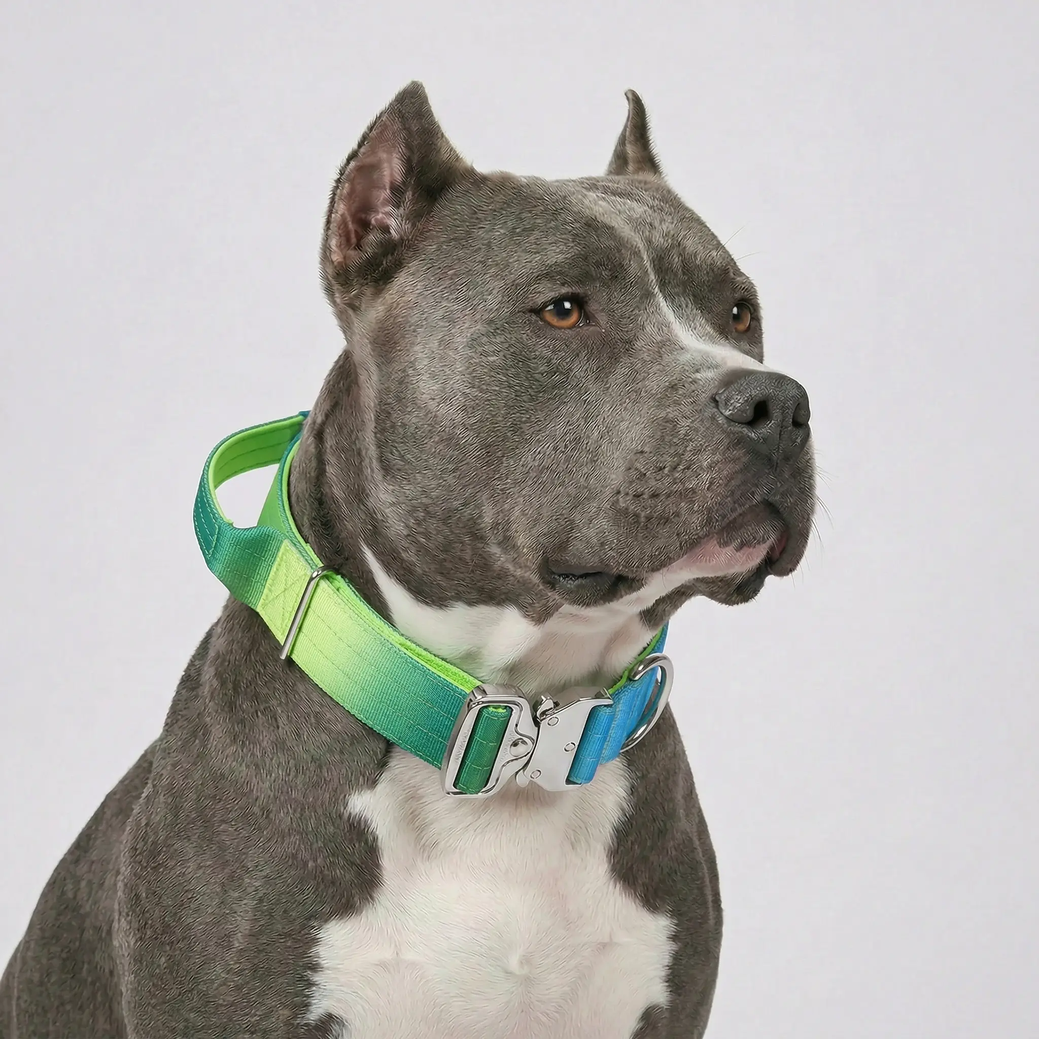 Premium Green Gradient Tactical Dog Collar with Handle - Heavy Duty Anti Pull K9 Training Gear, Quick Release Metal Buckle for Large Dogs, Pitbull, American Bully - Vibrant Ombre Collar