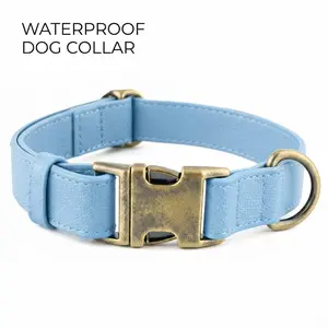 Waterproof Dog Collar Easy Clean Quick Release Durable Adjustable Pet Collar for Small Medium Dogs