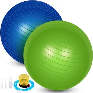 2 count Yoga Ball Exercise Ball Large 26 Inch Exercise Anti Burst Birthing Fitness Ball with Pump, 26 Inches/ 65 cm for Improved Posture, , Yoga, Pilates,