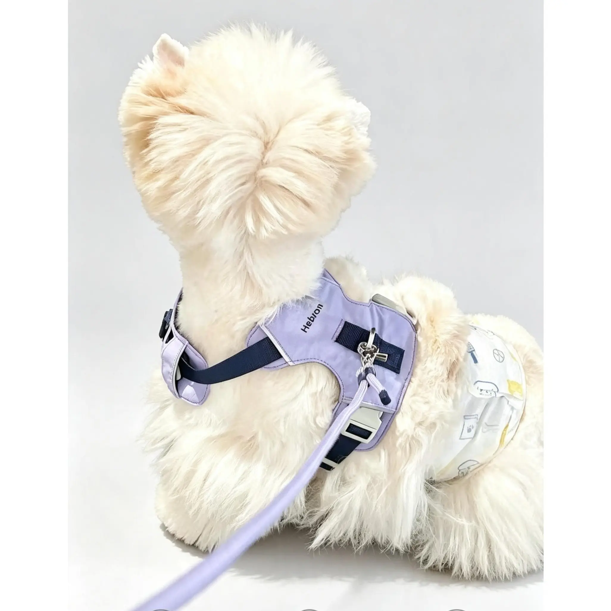 Dog Vest Harness for 3-7 lb Dogs, Soft & Lightweight, Adjustable Fit, Available in Beige, Cream White, Orang