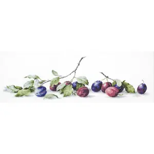 Plums B2257L Counted Cross-Stitch Kit